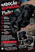 Pluto