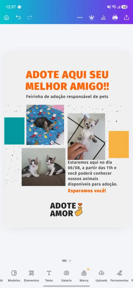Gato raça SRD-ViraLata idade Abaixo de 2 meses nome estão sem ainda 