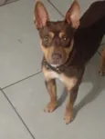 Rubí 