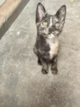 Mia