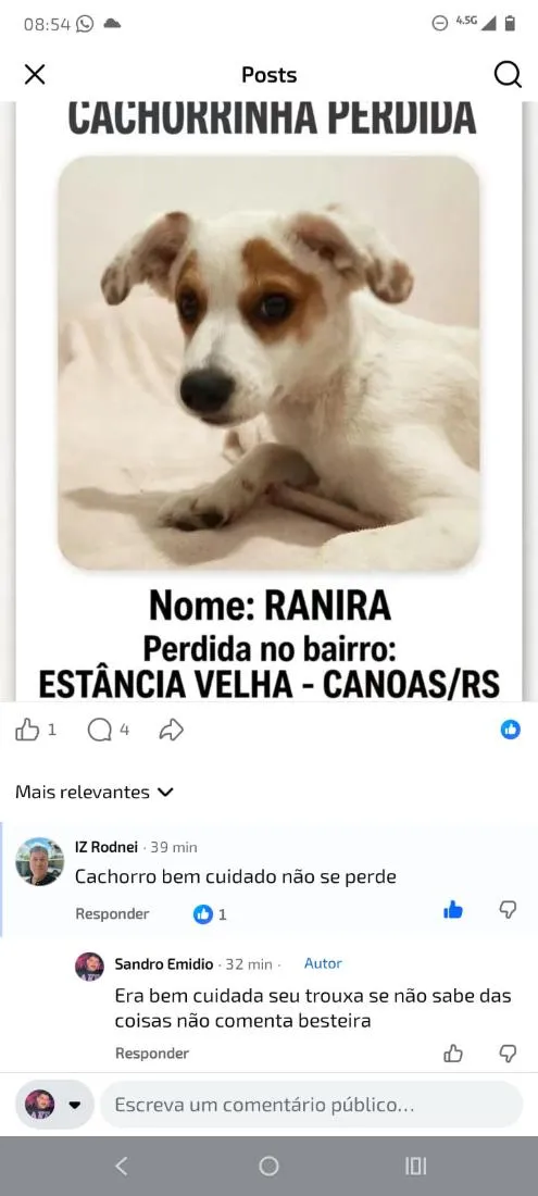 Cachorro raça SRD-ViraLata idade 2 a 6 meses nome RANIRA