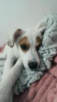 RANIRA