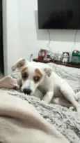 RANIRA