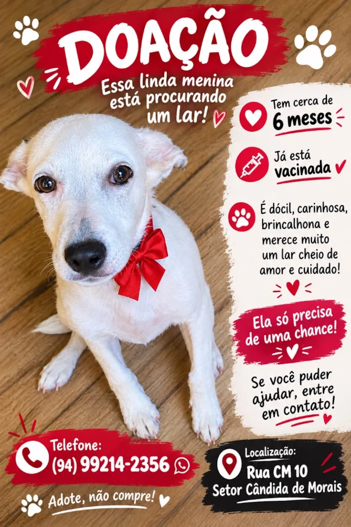Cachorro raça SRD-ViraLata idade 2 a 6 meses nome Dakota