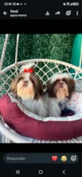 klain e Winni 