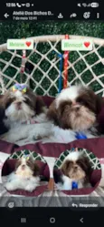klain e Winni 