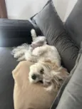 Gloria
