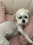 Gloria