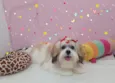 Gloria