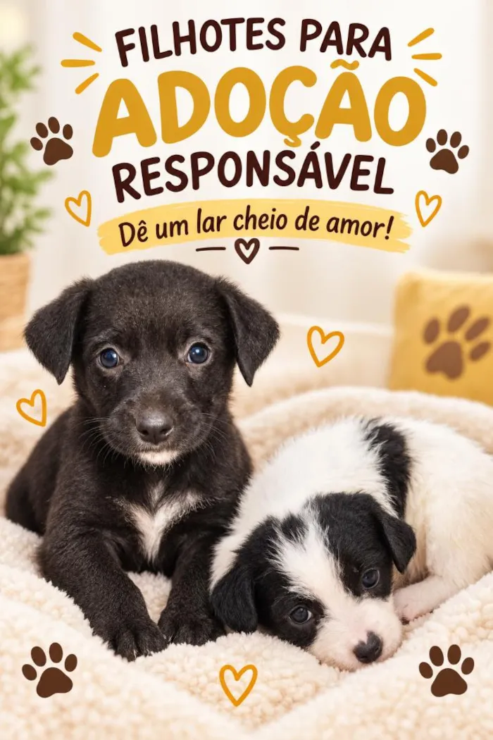 Cachorro raça SRD-ViraLata idade 2 a 6 meses nome filhotes 