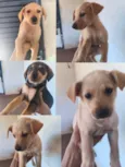 não tem nome 