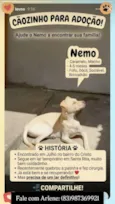 Nemo