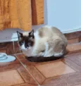Tempestade