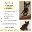 Sirius