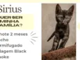 Sirius