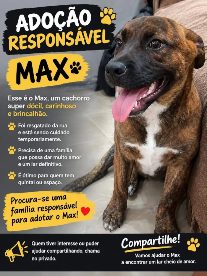 Cachorro raça SRD-ViraLata idade 2 a 6 meses nome Max 