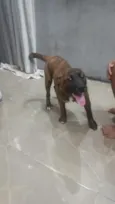 Max 