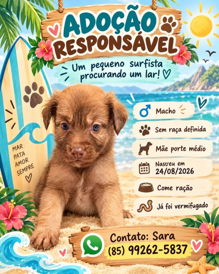 Cachorro raça SRD-ViraLata idade Abaixo de 2 meses nome Filhote