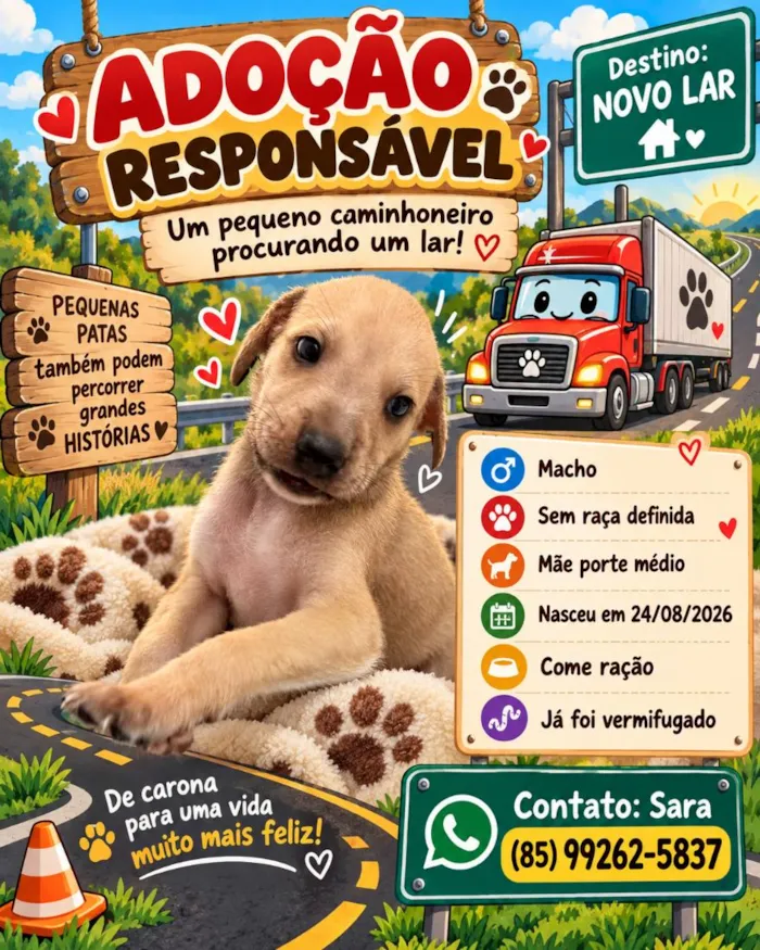 Cachorro raça SRD-ViraLata idade Abaixo de 2 meses nome Filhote
