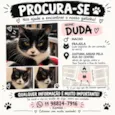 Duda