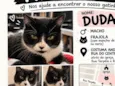 Duda