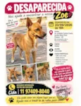 Zoe