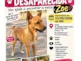 Zoe