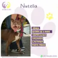Nutella