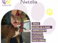 Nutella