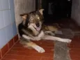 Yuki
