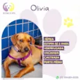 Olivia