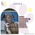 Julinho