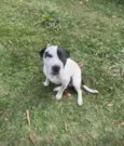 Jack