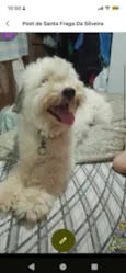 Juninho