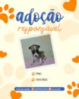 sem nome