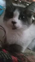 Minimu 