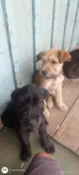 Breno e mia 