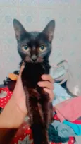 ket