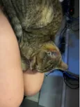 Lily