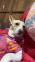 Fiona