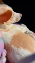 Fiona