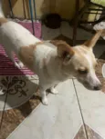 Fiona