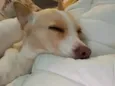 Fiona