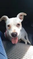 Maia 