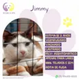 Jimmy