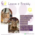 Leona e Freddy
