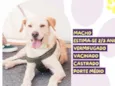 Belo