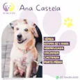 Ana Castela