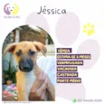 Jéssica
