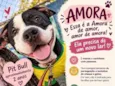 Amora
